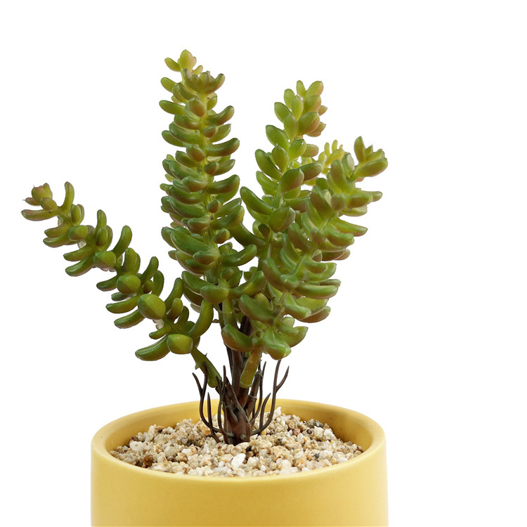 Money string autumn colors