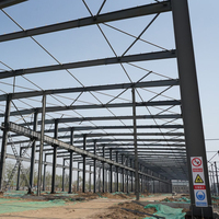 Fabricante Chino de Almacenes Prefabricados de Estructura de Acero Ligera y Profesional, Edificio Prefabricado de Acero