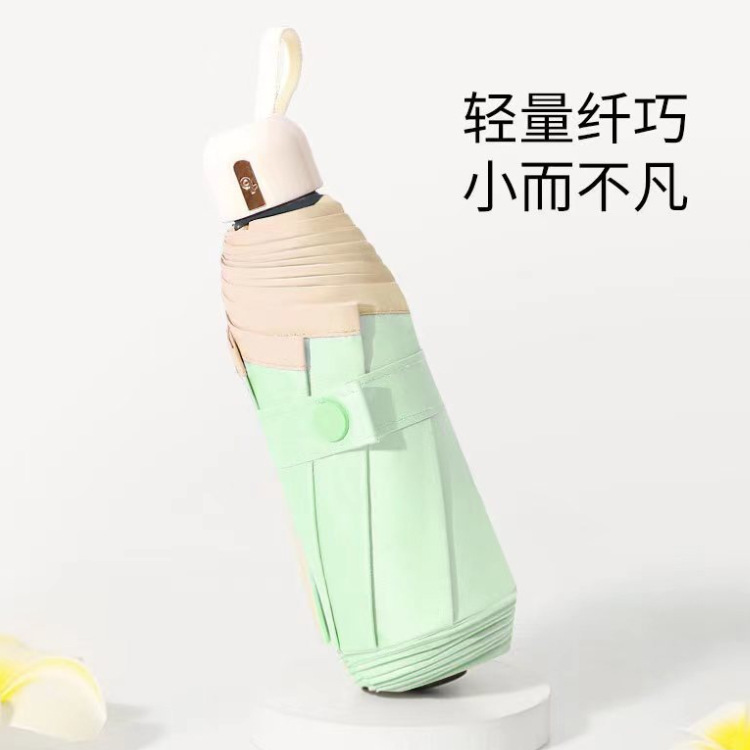 Colle colorée café vert 50%