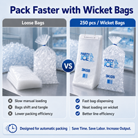 Sac d'emballage pour glace en LDPE imprimé sur mesure, de qualité alimentaire, résistant au congélateur, avec poignée, pochette en plastique robuste pour la transformation de la glace