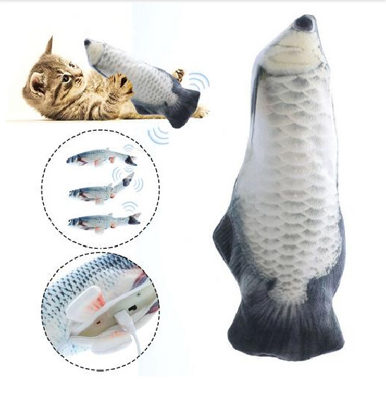 Arowana plateada