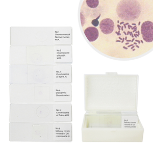 Portaobjetos de microscopio de cromosomas 6 artículos preparados genética portaobjetos médico humano biológico <span class=keywords><strong>Animal</strong></span> Sec rebanada enseñanza educativa - Product Image 1