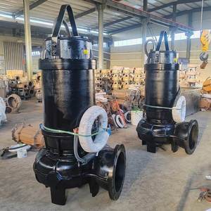 SHUANGSHENG WQ Customizable High-Strength Electric <b>Submersible</b> Sewage <b>Pump</b> 0.75KW 50/60Hz 2 Inch Outlet Multi-Functional OEM - Product Image 3