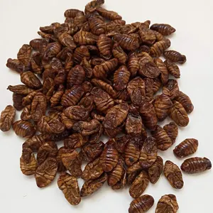 Wholesale hot sell high protein nourishing dried silkworm pupae for animal food feed pet food