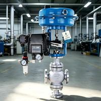 Vanne de régulation haute performance en acier inoxydable 304 avec positionneur intelligent