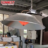 Lampe chauffante infrarouge à gaz haute efficacité pour l'élevage commercial de poulets de chair en poulailler – Fourniture pour fermes avicoles