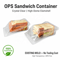 Fabrikant Groothandel Wegwerp Transparante PET Driehoekige Sandwich Afhaalverpakking Clamshell Verpakking