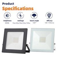 Projecteur LED Extérieur Anti-Éblouissement 4000K Étanche pour Jardin, Parc, Marine, SMD 50W 100W, Faisceau 120°, Prix de Gros