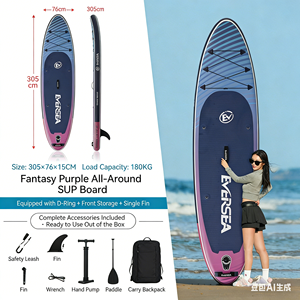 Pack SUP comprenant une pompe électrique haute pression, des sacs étanches pour téléphone et 11 accessoires - Product Image 2