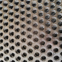 Grille de grillage galvanisée Clôture en tôle perforée de 6mm Panneaux en aluminium perforés pour revêtement de façade Extérieur