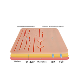 Un modèle <span class=keywords><strong>de</strong></span> <span class=keywords><strong>pratique</strong></span> à double usage pour <span class=keywords><strong>la</strong></span> ponction veineuse et <span class=keywords><strong>la</strong></span> suture des plaies .. - Product Image 2