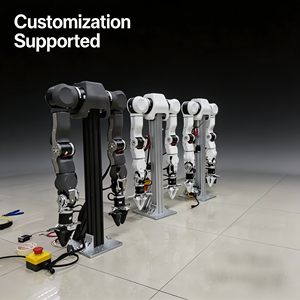 Plataforma Robótica de Doble Brazo con IA Incorporada, Sistema de Entrenamiento en Robótica Compatible con ROS, Manipulación para Investigación y Desarrollo, Robot de Investigación - Product Image 4