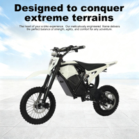 Sepeda Motor Listrik Ban Gemuk 2 Roda Off-road Harga Bagus 3000W Jarak Jauh untuk Jalan Kasar