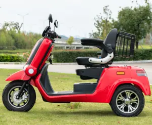 EEC Certificated 3 Three Wheel Mobility Scooter Motorcycle Electric Scooters for Elderly Disabled