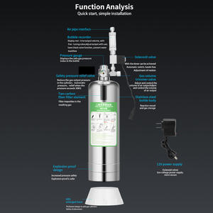 WYIN ZRDR 304 스테인레스 스틸 수족관 Diy Conjunto de cilindros 드 디옥시도 드 카보 노 콤 valvula solenoide de co2 - Product Image 4