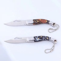Couteau de poche pliable miniature portable en acier inoxydable durable, multifonction, porte-clés, pendentif, camping