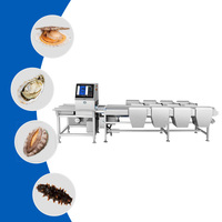 Automatisch visueel weeg- en sorteersysteem voor groenten en fruit, multi-channel