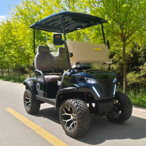 DOT Certified Fully Custom Street 2 Seater Golf Cart Factory Build High Capacity Design Accommodates up to 4 Passengers Comforta - Product Image 1