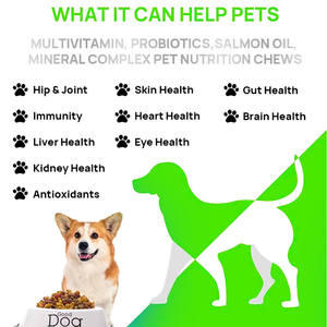 Oem/ODM nhai Dog mềm Cranberry bổ sung cho bàng quang kiểm soát & thận hỗ trợ Pet chăm sóc sức khỏe & bổ sung - Product Image 3