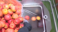 Volledig automatische productielijn voor appel-, peer- en guavensap, inclusief sapcentrifuge, industriële fruitverwerkingslijn, turn-key.