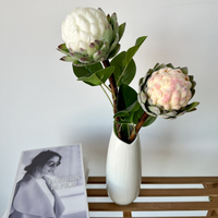 Tiges d'abricot artificielles floquées de qualité supérieure, parfaites pour la décoration intérieure bohème, la mise en scène d'événements et les créations florales DIY, disponibles en rouges vifs