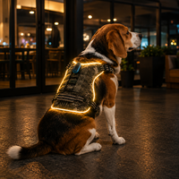 Harnais LED de sécurité pour chien Qcool avec éclairage périphérique, boîte à piles intégrée, sangle en nylon réfléchissante, pour promenades nocturnes, logo personnalisé