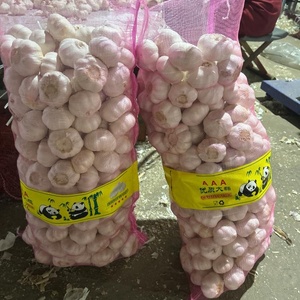 Ajo Fresco Cosecha 2026, Registro NAFDAC, Listo para Exportación, Bolsa de Malla de 5kg, 10kg, 20kg, Caja de Cartón, para Importación a Lagos, Nigeria - Product Image 3