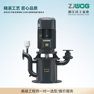 Pompe auto-amorçante sans joint Wfb en acier inoxydable, verticale, hauteur de refoulement 150m, corps en fonte, débit élevé, moteur électrique, commande manuelle - Product Image 2
