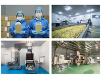 Bantian Gedroogde Blauwe Bessen Zonder Toevoegingen Natuurlijk Gedroogd Fruit Groothandel OEM ODM Private Label voor Bakkerijen en Snacks