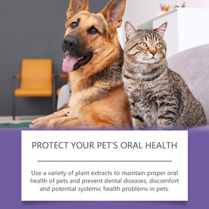 Gel de soin buccal pour chiens et chats, éliminateur de taches dentaires, rafraîchisseur d'haleine, gel de soin des dents, 6 ml - Product Image 5