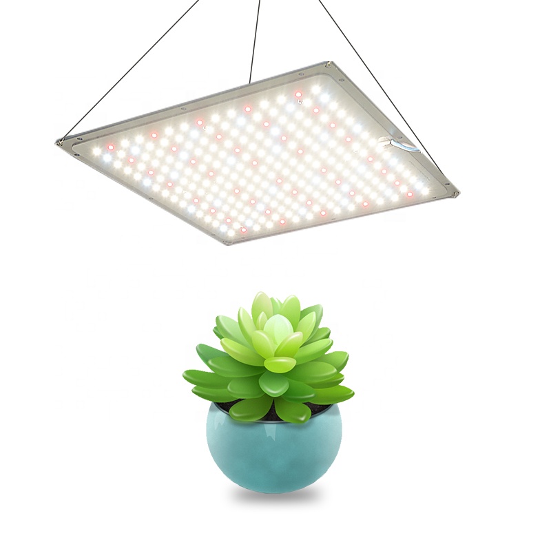 Приглушаемая лучшая Светодиодная лампа для выращивания растений 300x300 мм, освещение для выращивания садоводства для комнатных растений
