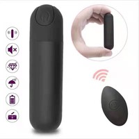 Starker Vibrations-Slip-Vibrator mit Spitze, Fernbedienung, 10 Frequenzen, abnehmbar, Sexspielzeug für Erwachsene, zum Flirten
