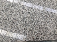 Azulejo de suelo de granito gris natural barato al por mayor 60x60 G602 baldosas de granito flameado