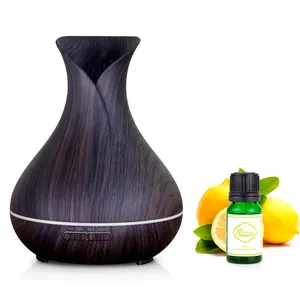 Ultrasone Geur Kamer Diffuser Voor Zuid-afrika Singapore Filippijnen Maleisië Lazada India Ierland