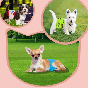 WL Lot de 3 bandes de ventre douces et confortables pour chiens mâles Couches pour chiens lavables et réutilisables Enveloppes d'incontinence à haute absorption et anti-fuite - Product Image 6