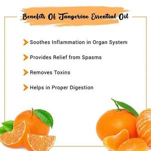 अधिकांश शुद्ध प्राकृतिक नींद 100% विसारक के लिए आवश्यक तेल जलाएं, कार्बनिक टैंगेरिन मैंडरिन पेलिंग आवश्यक तेल अरोमाथेरेपी - Product Image 3