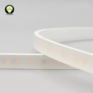 Keluar Pintu Lampu Tape Strip IP68 65 Halaman Belakang Lampu Taman WWA Warna Terbaik LED Strip Lampu