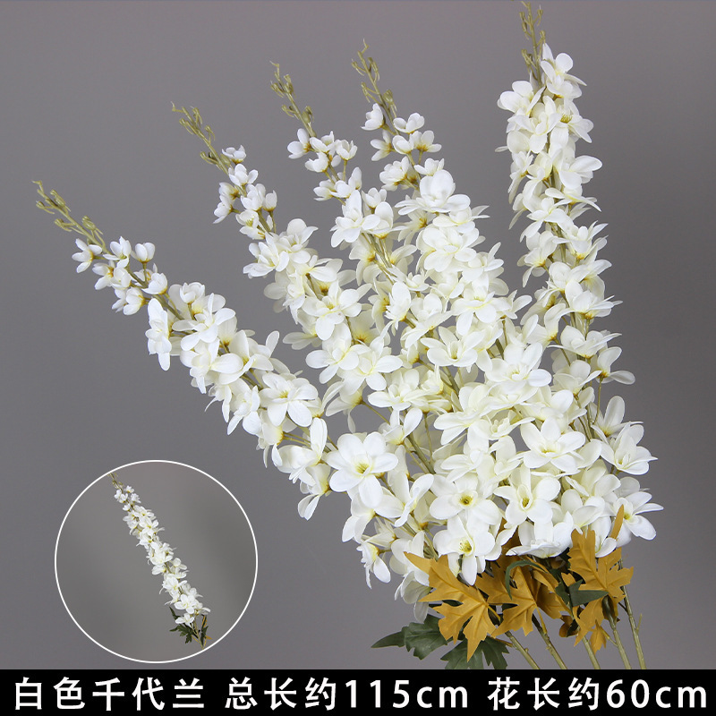 White Chiyodon branch