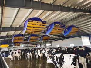 72 inch stille elektrische industriële ventilatoren met lamellen voor veeteeltbedrijven - Product Image 6