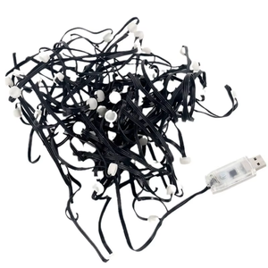 <span class=keywords><strong>ไฟ</strong></span>ประดับคริสต์มาสคุณภาพสูง E27 <span class=keywords><strong>สาย</strong></span><span class=keywords><strong>ยาง</strong></span> PVC <span class=keywords><strong>แบน</strong></span> <span class=keywords><strong>ไฟ</strong></span><span class=keywords><strong>สาย</strong></span>โซ่สำหรับภายนอกอาคาร IP65 พร้อมรีโมทคอนโทรล RGB - Product Image 5