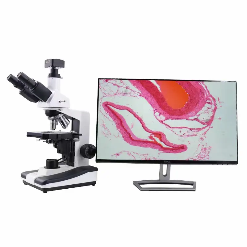 Microscopio biologico ampio campo di visione oculare di imaging operazione chiara per l'insegnamento medico microscopio di ricerca scientifica