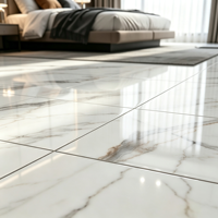 Carrelage en porcelaine polie de la série Luxury Stone, aspect marbre, 600x600 mm, pour sol de salon
