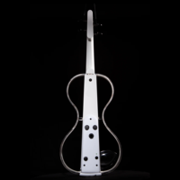 Violon acrylique transparent de haute qualité 355x130mm avec LED RVB pour la performance nocturne violon électrique acrylique clair fait à la main