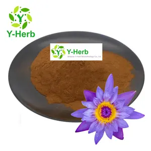 Blauwe Lotusbloem Extract Poeder 10:1 50:1 100:1 200:1 Organische Blauwe Lotusbloem Extract