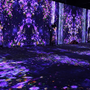 Projection d'art numérique multi-sensoriel Cartographie Projection murale interactive Salle de projection immersive - Product Image 4
