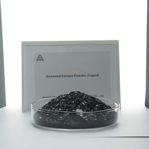 Fertilizante Orgánico de Extracto de Algas Marinas Soluble en Agua, Agroquímicos para el Crecimiento de Cultivos en Granjas, Extracto de Algas Marinas en Polvo - Product Image 2