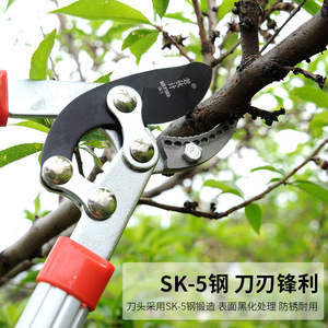 Lopping <b>Shears</b> Carbon Steel 20-30 Mm Butterfly Structure Red Handle Garden Pruning <b>Tool</b> - Product Image 2