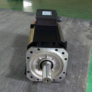 Juego de motor de husillo de baja velocidad y alto torque de 0~500 rpm, 191 Nm, 500 rpm. - Product Image 3