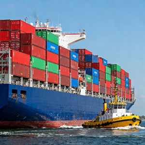 Servicio de Transporte Marítimo Puerta a Puerta DDP, Agente de Envíos DHL para Todo el Mundo, Logística LCL+Express para EE. UU., <span class=keywords><strong>Idaho</strong></span> - Product Image 6