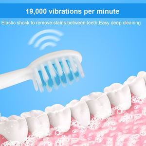 Venta al por mayor inteligente Sonic batería cepillo de dientes eléctrico 3 cerdas suaves reemplazables cepillo de dientes potable para adultos logotipo personalizado - Product Image 4